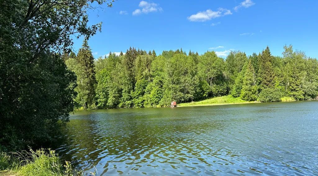 дом городской округ Сергиево-Посадский 41Д, д. Напольское фото 44