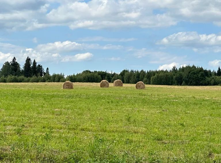 дом городской округ Сергиево-Посадский 41Д, д. Напольское фото 47