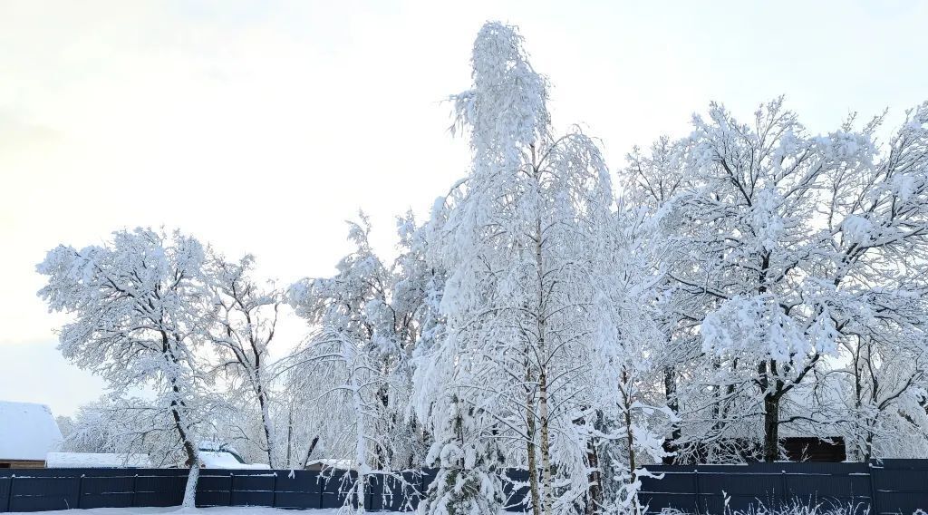 дом городской округ Орехово-Зуевский д Чистое 4В фото 21