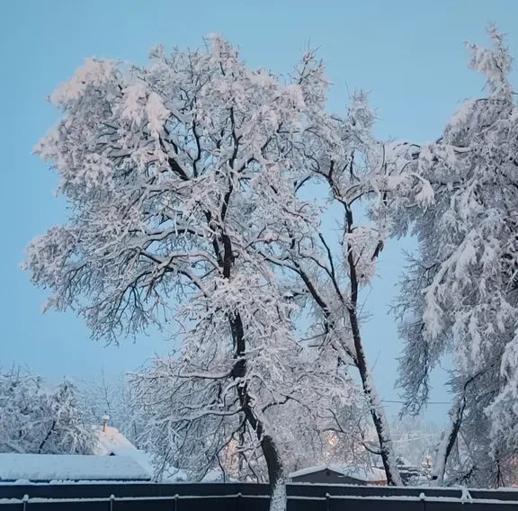 дом городской округ Орехово-Зуевский д Чистое 4В фото 22