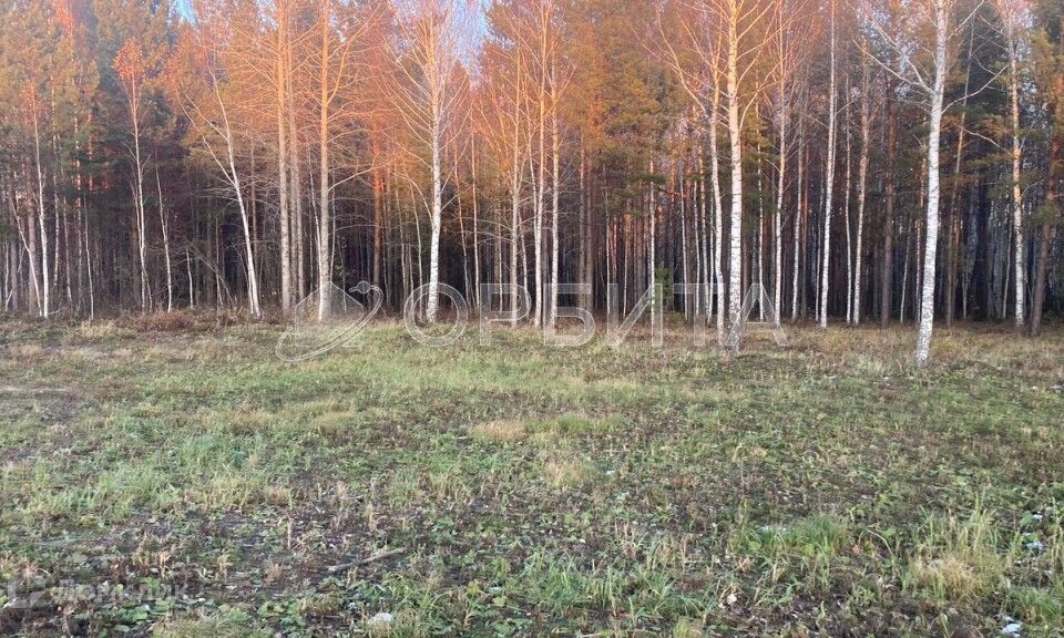 земля р-н Нижнетавдинский фото 1