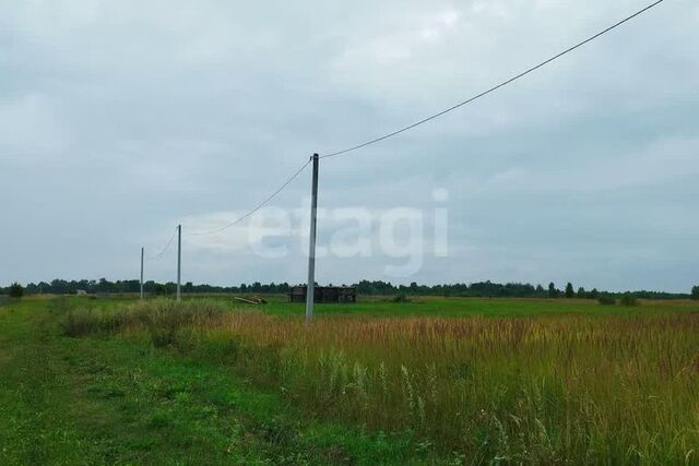 д Шоя-Кузнецово Йошкар-Ола городской округ, деревня Шоя-Кузнецово, 18 фото