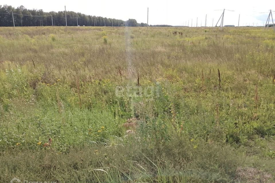 земля р-н Медведевский д Нолька Центральная фото 1