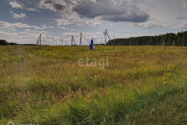 земля Центральная фото