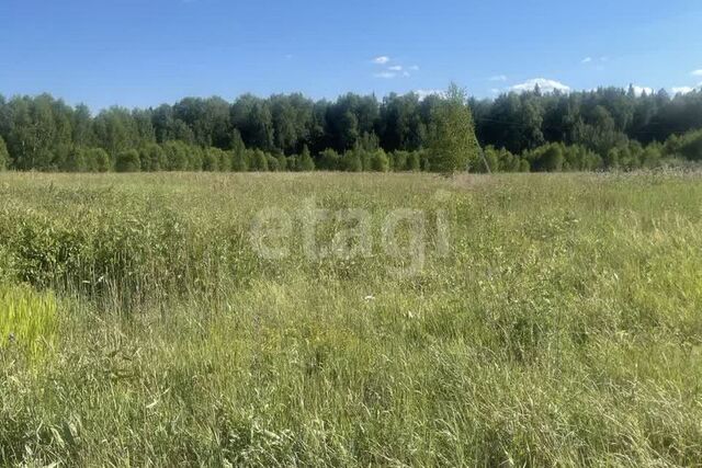 р-н Медведевский д. Ореховка фото