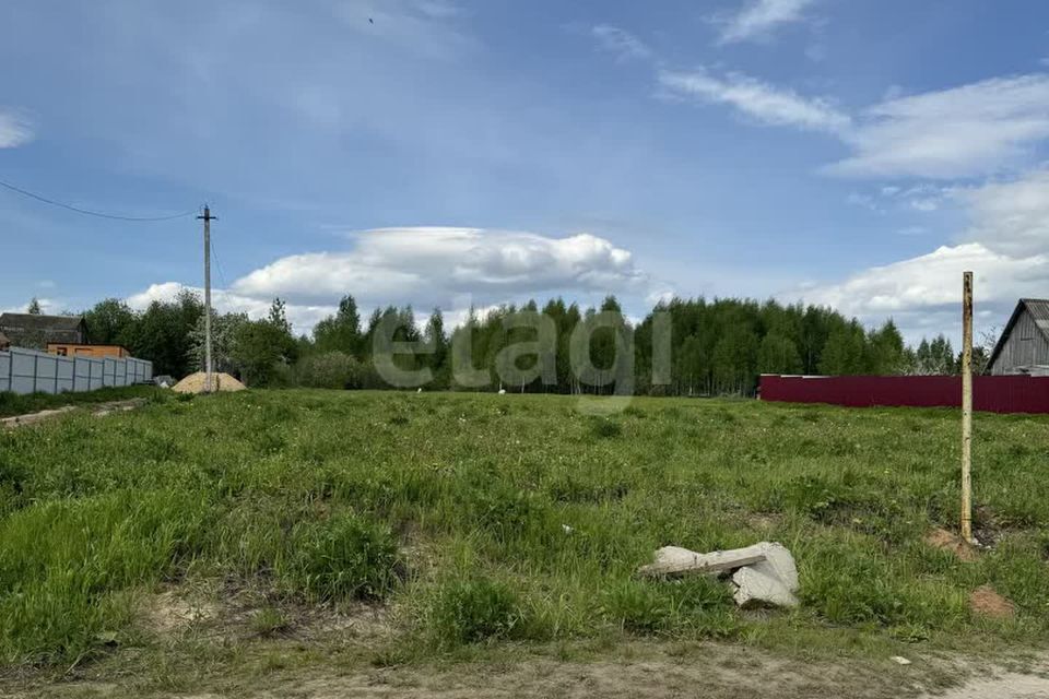 земля р-н Медведевский д. Крутой Овраг фото 1