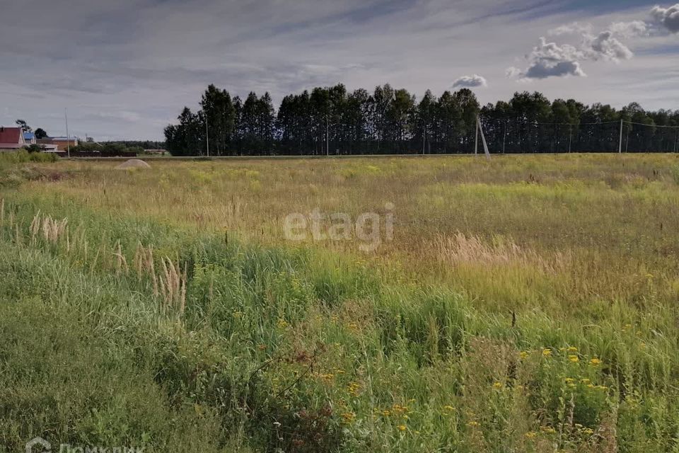 земля р-н Медведевский д. Покровка фото 1