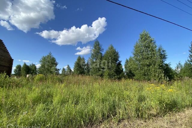 Йошкар-Ола городской округ, д. Шоя-Кузнецово фото