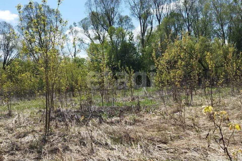 земля г Йошкар-Ола д Якимово Йошкар-Ола городской округ, Заречная фото 1