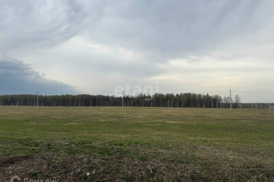 земля р-н Медведевский д Нолька Центральная фото 1