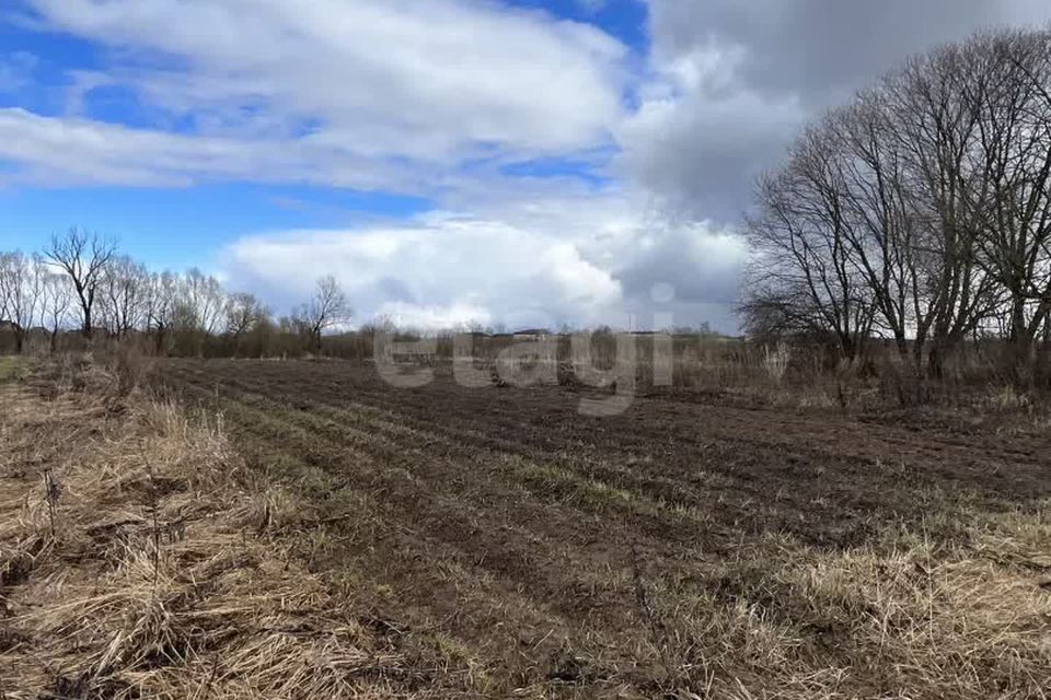 земля р-н Медведевский д. Оршасола фото 1