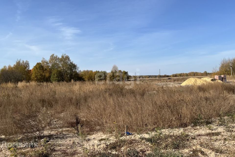 земля р-н Медведевский д. Крутой Овраг фото 1