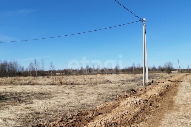 земля д. Озерки фото