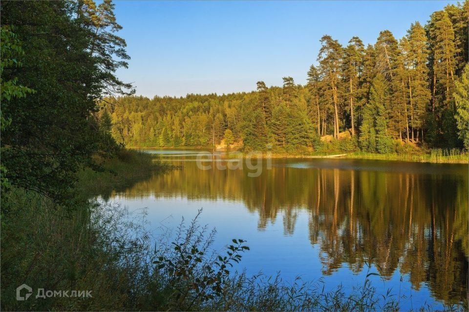 земля р-н Медведевский д. Юж-Толешево фото 1