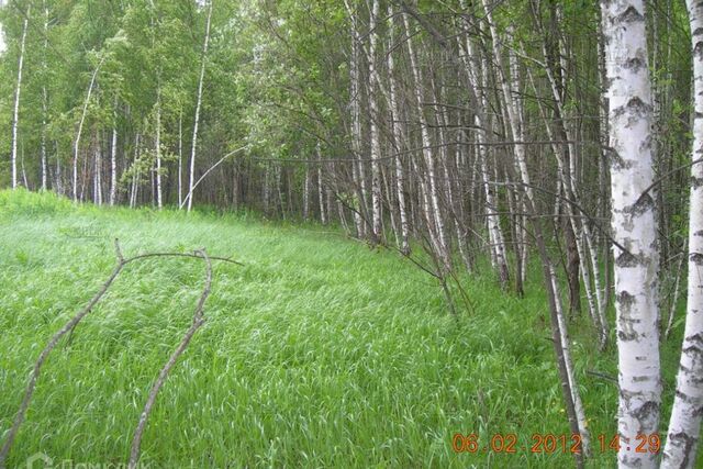 д Лихун посёлок Молодёжный Калуга городской округ, д. Лихун фото