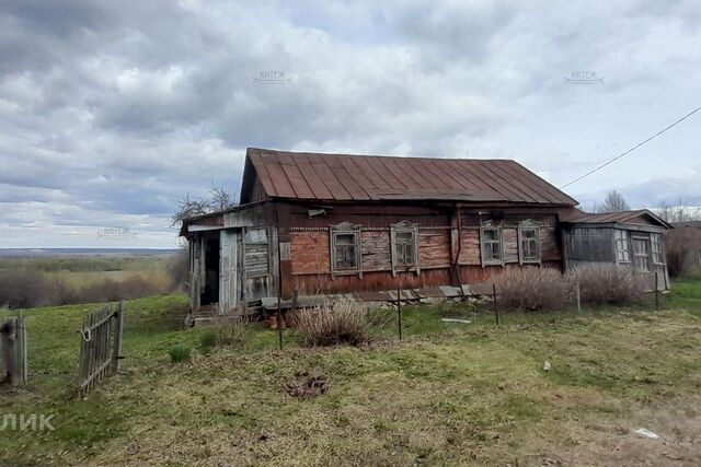 д. Ладыгино фото