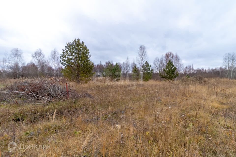 земля г Тюмень Тюмень городской округ, СНТ Светлое фото 1