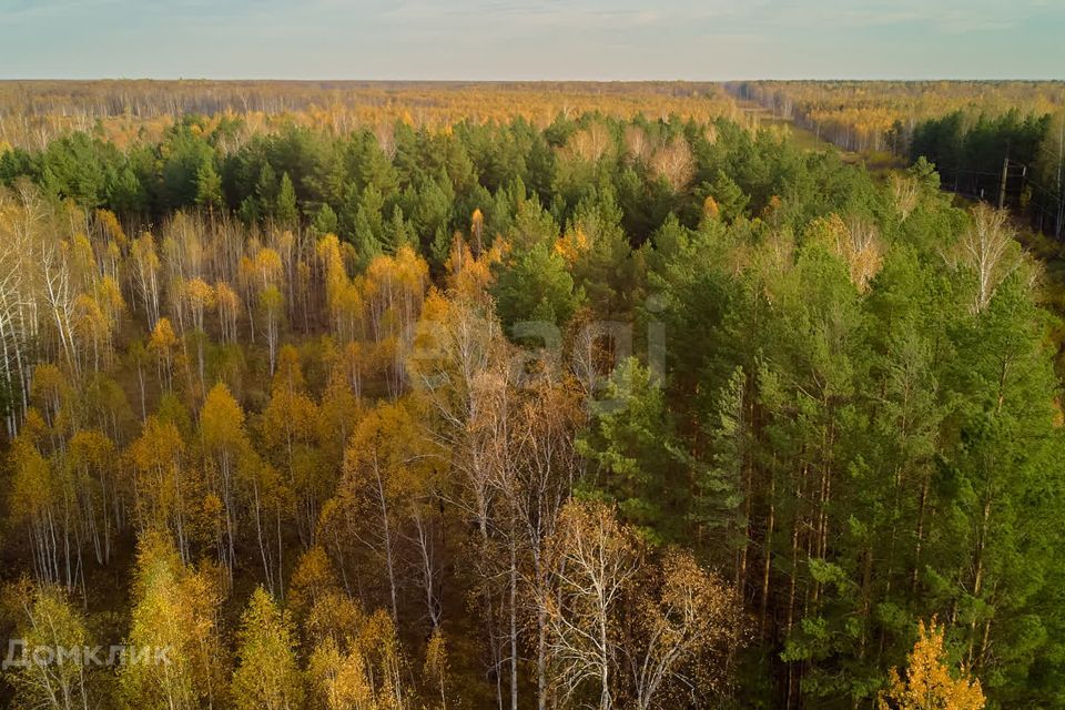 земля р-н Тюменский с. Салаирка фото 1