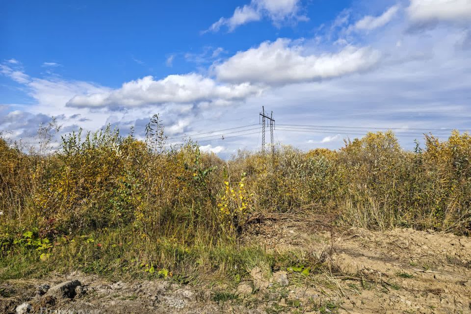 земля г Тюмень снт Малинка ул Липовая Тюмень городской округ фото 1