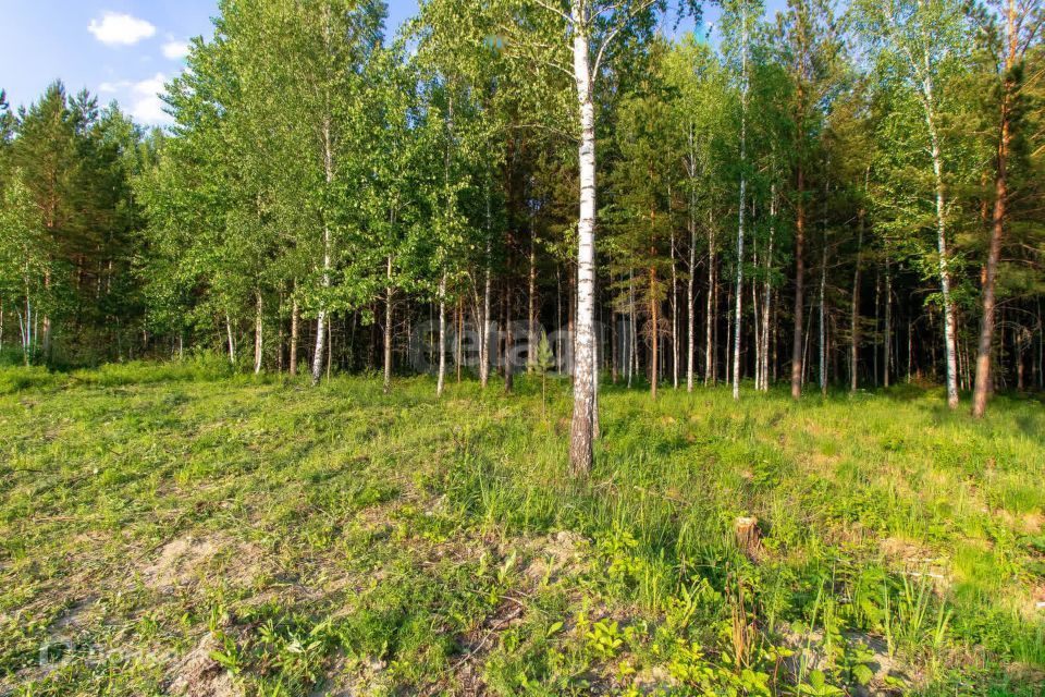 земля г Тюмень Тюмень городской округ, Гаражный кооператив Берёзка-2 фото 1