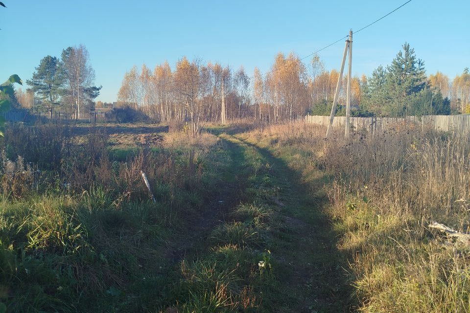 земля р-н Боровичский д. Ровное Ёгольское сп фото 2