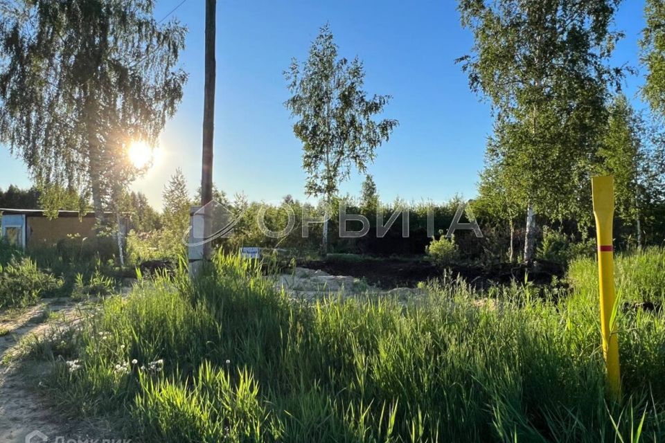 земля р-н Нижнетавдинский СНТ Строитель фото 2