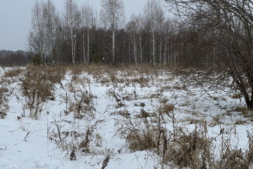 земля р-н Нижнетавдинский Тюнево фото 2