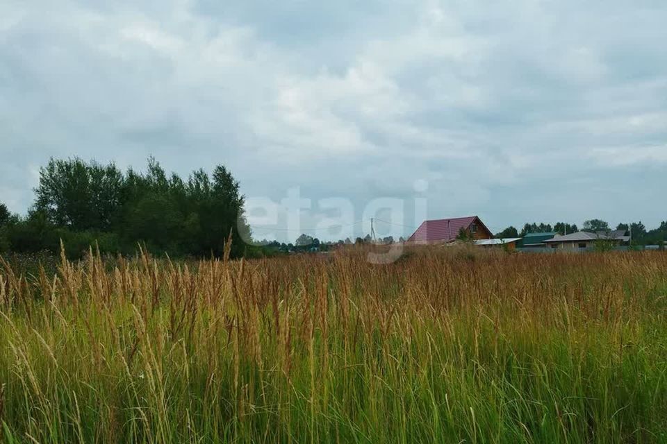 земля г Йошкар-Ола д Шоя-Кузнецово Йошкар-Ола городской округ, деревня Шоя-Кузнецово, 18 фото 2