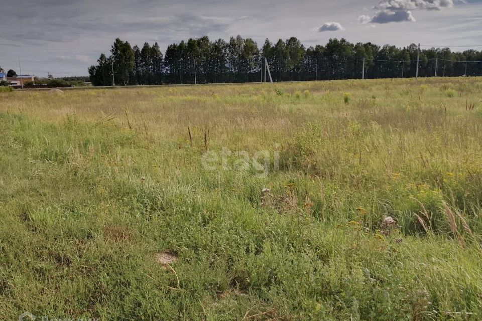 земля р-н Медведевский д Нолька Центральная фото 3