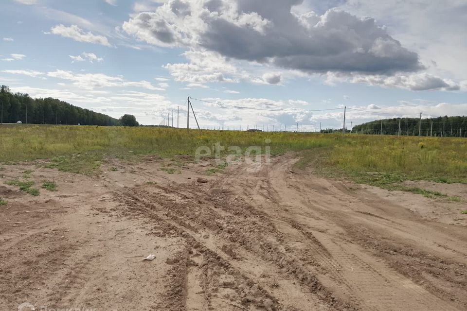 земля р-н Медведевский д Нолька Центральная фото 4