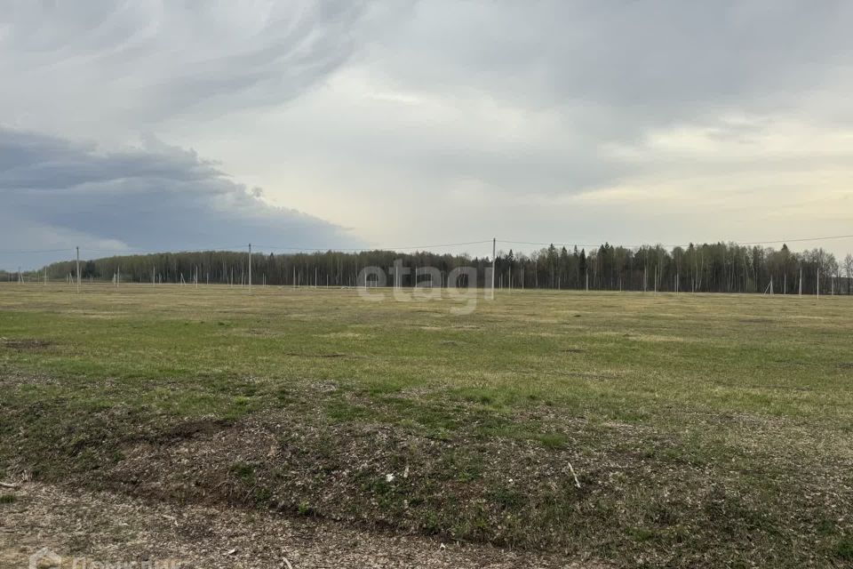 земля р-н Медведевский фото 3