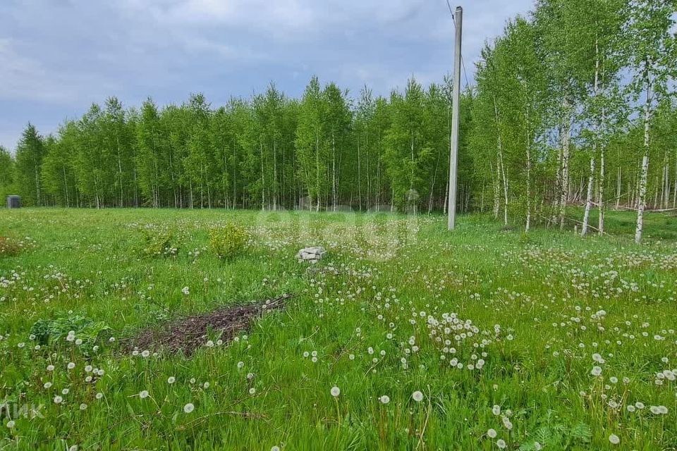 земля р-н Медведевский д. Новотроицк фото 2