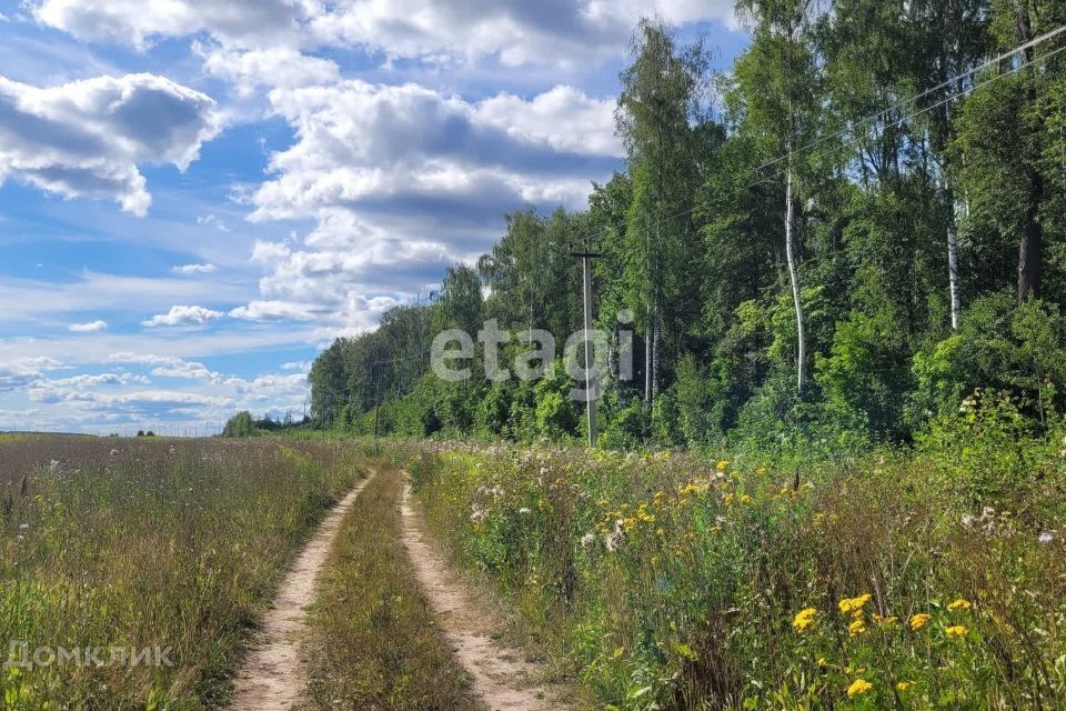 земля р-н Медведевский фото 2