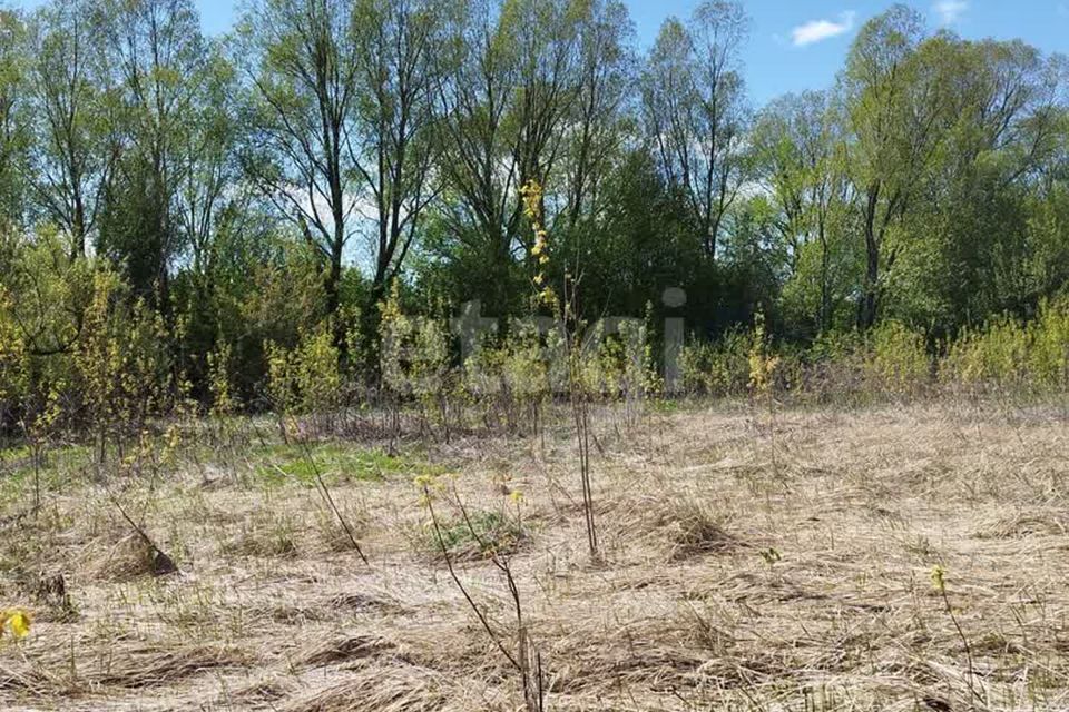 земля г Йошкар-Ола д Якимово Йошкар-Ола городской округ, Заречная фото 2