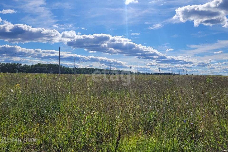 земля р-н Медведевский фото 2