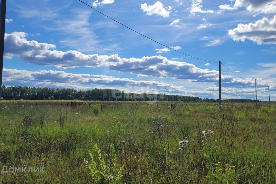 земля р-н Медведевский фото 2