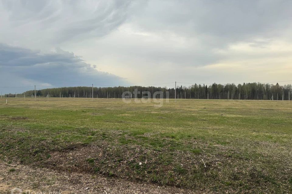 земля р-н Медведевский д Нолька Центральная фото 2