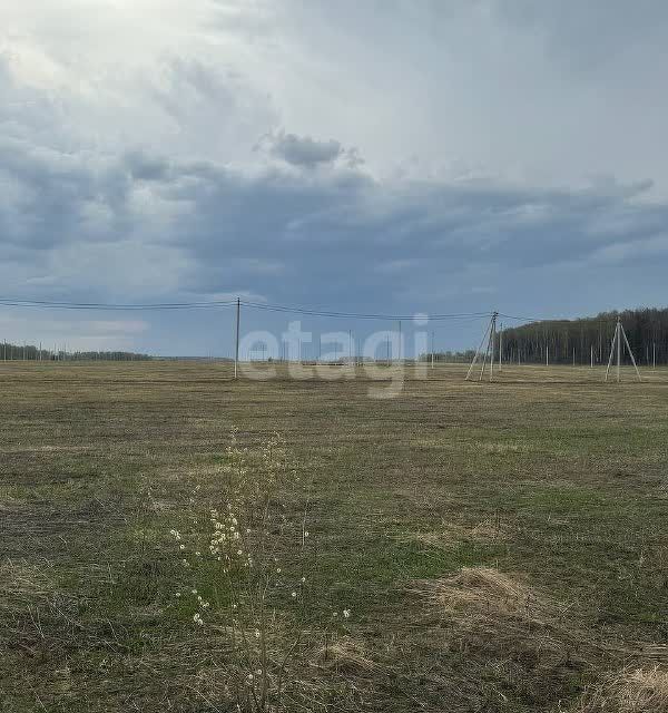 земля р-н Медведевский д Нолька Центральная фото 3