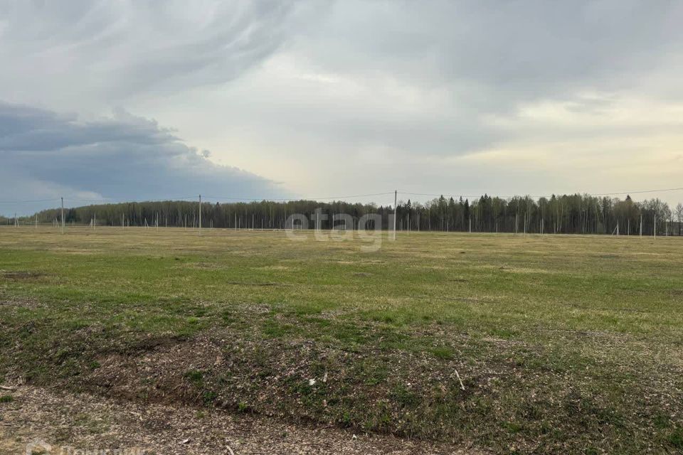 земля р-н Медведевский д Нолька Центральная фото 4