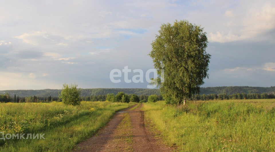 земля р-н Сернурский д. Митринер фото 3