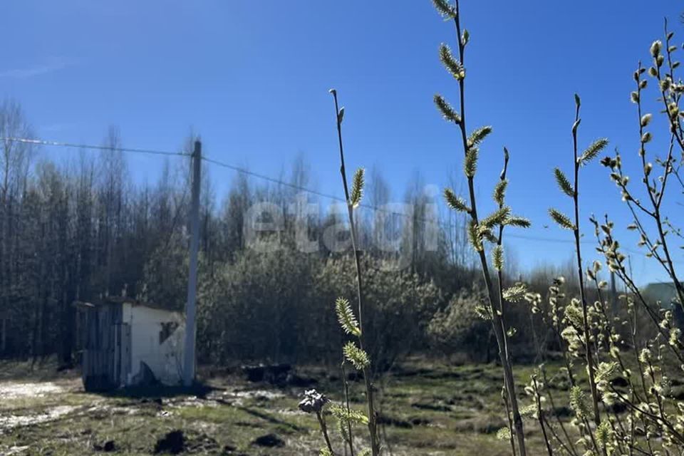 земля р-н Медведевский д Савкино Поле Берёзовая улица фото 3