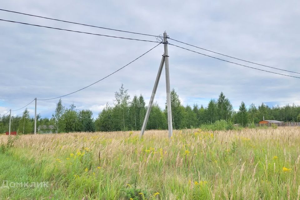 земля г Йошкар-Ола д Шоя-Кузнецово Йошкар-Ола городской округ, Счастливая фото 3