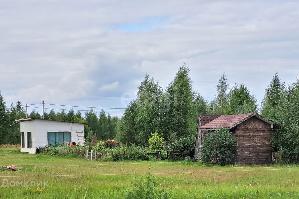 земля г Йошкар-Ола д Шоя-Кузнецово Йошкар-Ола городской округ, Счастливая фото 2