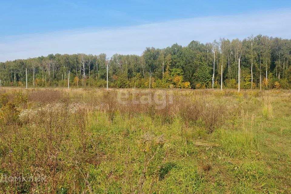 земля р-н Медведевский д Нолька Центральная фото 3