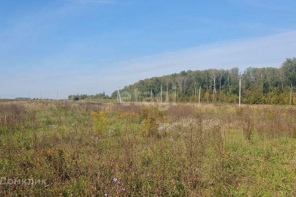 земля р-н Медведевский д Нолька Центральная фото 4