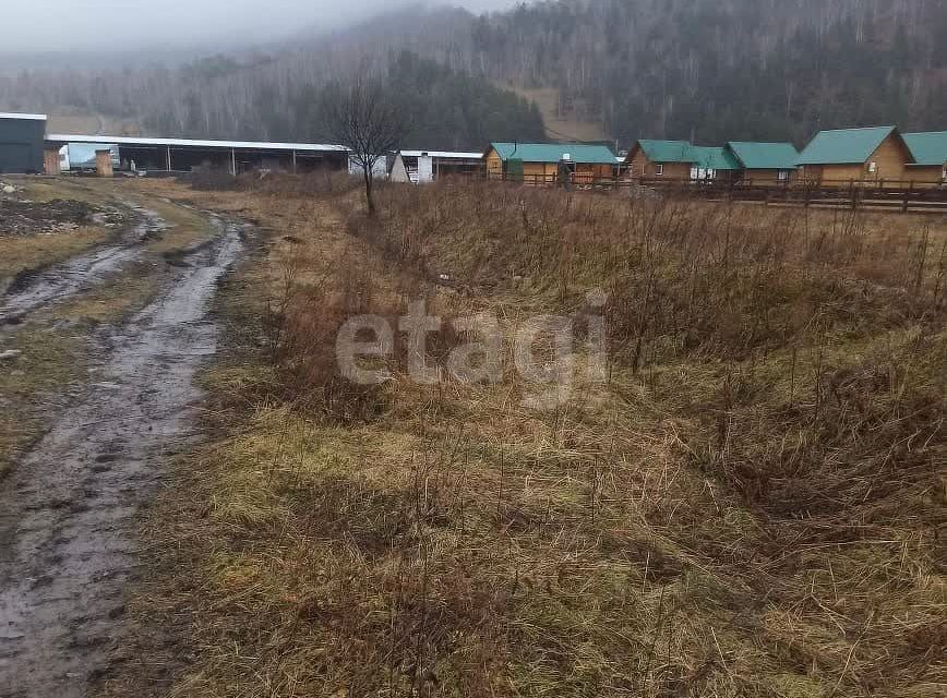 земля р-н Чемальский с. Чемал фото 3