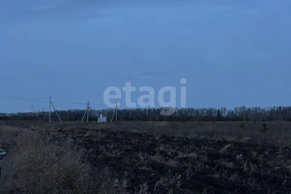 земля г Камышлов улица Васильева, Камышловский городской округ фото 3