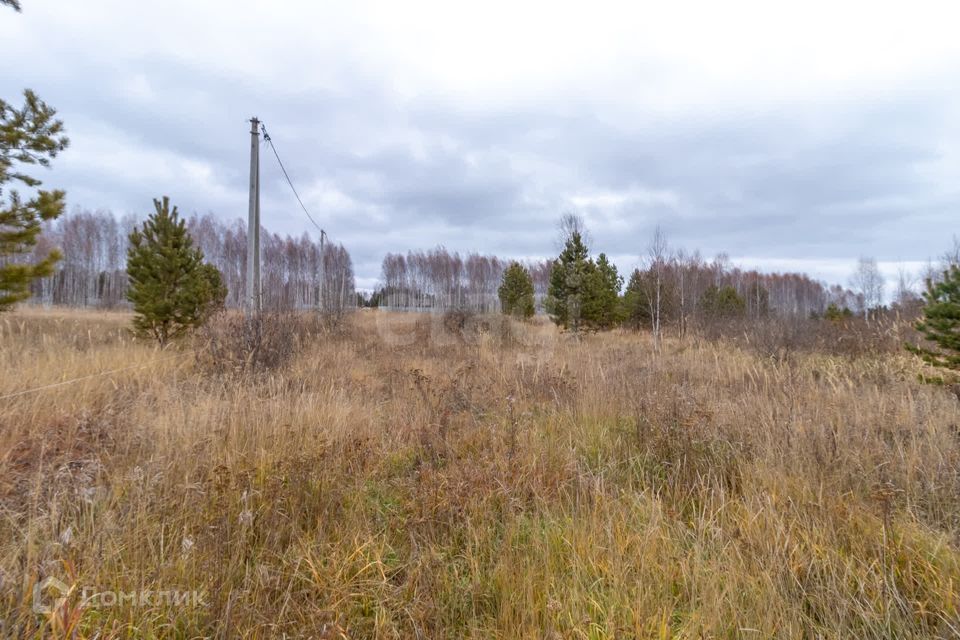 земля г Тюмень Тюмень городской округ, СНТ Светлое фото 3