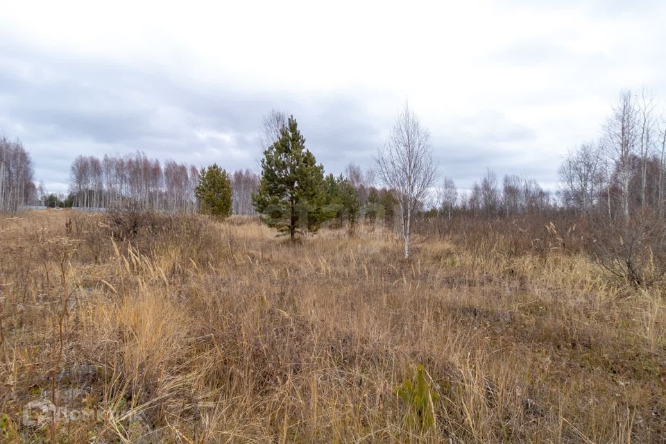 земля г Тюмень Тюмень городской округ, СНТ Светлое фото 4