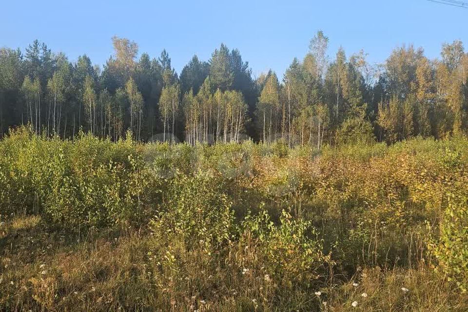 земля р-н Тюменский с. Салаирка фото 2